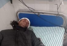 बाघ ने किया दो बाइक सवार युवकों पर हमला,दहशत