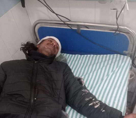 बाघ ने किया दो बाइक सवार युवकों पर हमला,दहशत