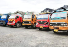 गौरक्षक दल गठित, मुख्य मार्गों से हटाएंगे पशु