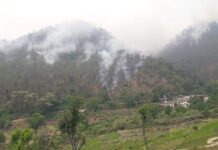 उत्तरकाशी के जंगलों में लगी आग हुई विकराल