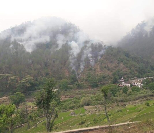 उत्तरकाशी के जंगलों में लगी आग हुई विकराल