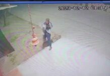 असामाजिक तत्व ने किया मंदिर में पथराव,वीडियो वायरल होने के बाद लोगों में आक्रोश