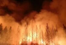 दक्षिणी कैलिफोर्निया के लॉस एंजिल्स में लगी भयंकर आग, तेज हवाओं से स्थिति और गंभीर