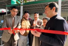 कलेक्ट्रेट के उत्कृष्ट कार्य करने वाले प्रशासनिक अधिकारी/कार्मिकों को डीएम ने किया सम्मानित