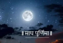 माघ पूर्णिमा के दिन लगाएं ये पौधे, घर में मां लक्ष्मी का होगा वास, होगी धन वर्षा