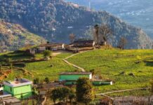 ग्रामीण पर्यटन का सफल उदाहरण बना रुद्रप्रयाग का सारी गांव