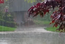 उत्तराखंड में मौसम विभाग का अलर्ट, कई जिलों में ऑरेंज व येलो अलर्ट जारी