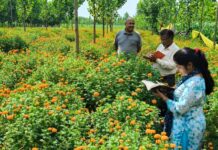 ग्रामोत्थान (रीप) परियोजना ने ‘खुशी स्वयं सहायता समूह’ को बनाया लखपति