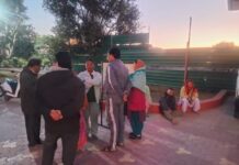 Thano Forest Range: स्कूटी से जा रहे दंपती के बीच बैठे 12 वर्षीय बच्चे को हाथी ने सूंड से खींचा, जमीन पर पटका; मौके पर दर्दनाक मौत