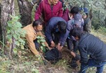 चमोली: घास लेने गई महिला पर भालू का हमला, गंभीर हालत में जंगल में मिली — पूरी रात पेड़ के सहारे छिपी रही