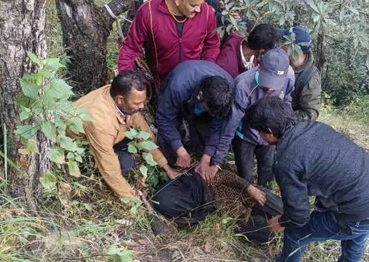 चमोली: घास लेने गई महिला पर भालू का हमला, गंभीर हालत में जंगल में मिली — पूरी रात पेड़ के सहारे छिपी रही