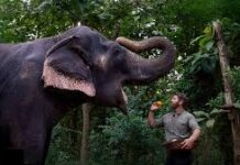 वनतारा सेंचुरी स्टोरीज: जियो हॉटस्टार पर जंगली जानवरों के बचाव और पुनर्वास की असली कहानी, दर्शकों से मिल रही सराहना