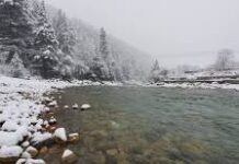 Uttarkashi: गंगोत्री नेशनल पार्क में कड़ाके की ठंड से जमे नदी-नाले, वन विभाग ने अवैध शिकार रोकने को लगाए 50 ट्रैप कैमरे