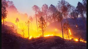 Forest Fires: उत्तराखंड हाईकोर्ट ने जंगल की आग पर विशेषज्ञों से मांगा सुझाव, 10 दिसंबर को अगली सुनवाई