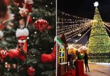 Christmas 2025: दुनियाभर में धूमधाम से मनाया गया क्रिसमस, पीएम मोदी, राष्ट्रपति मुर्मु और राहुल गांधी ने दी देशवासियों को शुभकामनाएं