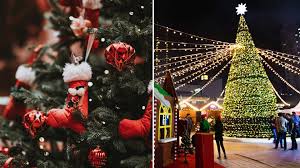 Christmas 2025: दुनियाभर में धूमधाम से मनाया गया क्रिसमस, पीएम मोदी, राष्ट्रपति मुर्मु और राहुल गांधी ने दी देशवासियों को शुभकामनाएं