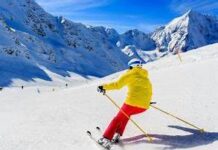 औली में बर्फबारी से लौटी रौनक, चारों ओर बिछी सफेद चादर, कृत्रिम झील भी जमी