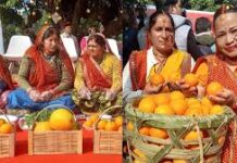 उत्तराखंड: आज से शुरू हुआ माल्टा महोत्सव, गीता धामी ने किया पर्वतीय किसानों को प्रोत्साहित, ‘घाम तापो–नींबू सानो’ रहेगा विशेष आकर्षण