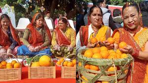 उत्तराखंड: आज से शुरू हुआ माल्टा महोत्सव, गीता धामी ने किया पर्वतीय किसानों को प्रोत्साहित, ‘घाम तापो–नींबू सानो’ रहेगा विशेष आकर्षण