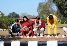 देहरादून: सीएम धामी ने 17 प्रजातियों के 4,000 ट्यूलिप उगाने के अभियान का किया शुभारंभ, व्यावसायिक उत्पादन पर दिया जोर