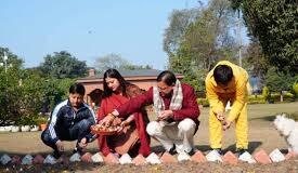 देहरादून: सीएम धामी ने 17 प्रजातियों के 4,000 ट्यूलिप उगाने के अभियान का किया शुभारंभ, व्यावसायिक उत्पादन पर दिया जोर