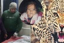 कोटद्वार के बरस्वार गांव में गुलदार का आतंक: माता-पिता के सामने आंगन से उठाकर ले गया डेढ़ साल की बच्ची, शव झाड़ियों में मिला