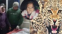 कोटद्वार के बरस्वार गांव में गुलदार का आतंक: माता-पिता के सामने आंगन से उठाकर ले गया डेढ़ साल की बच्ची, शव झाड़ियों में मिला