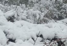 Uttarakhand Weather Update: पहाड़ से मैदान तक धूप, सोमवार से बदलेगा मिजाज; कोहरे का येलो अलर्ट, ऊंचाई वाले इलाकों में बारिश-बर्फबारी