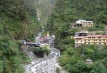 चारधाम यात्रा: यमुनोत्री पैदल मार्ग पर घोड़े-खच्चरों के संचालन के लिए बनेगी सख्त एसओपी, पशु क्रूरता पर कड़ी कार्रवाई