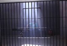 Uttarakhand: दूसरे राज्यों के हिस्ट्रीशीटरों की शरणस्थली बनती राजधानी दून, सुनील राठी गैंग का शूटर पारस गिरफ्तार