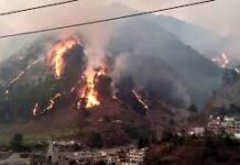 Chamoli Forest Fire: थराली के जंगलों में भीषण आग, 20 हेक्टेयर से अधिक वन क्षेत्र राख; गौशालाओं और ग्रामीणों पर मंडराया खतरा