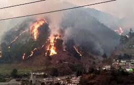 Chamoli Forest Fire: थराली के जंगलों में भीषण आग, 20 हेक्टेयर से अधिक वन क्षेत्र राख; गौशालाओं और ग्रामीणों पर मंडराया खतरा