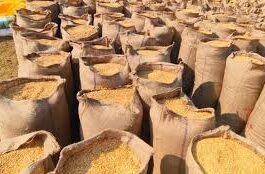 उत्तराखंड कैबिनेट का बड़ा फैसला: गेहूं-धान खरीद पर अब केवल 2% मंडी शुल्क, प्रस्ताव को मिली मंजूरी