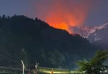 भारत-चीन सीमा पर मलारी के जंगलों में लगी आग, सेना शिविर सुरक्षित; वन विभाग की टीम ने शुरू किया बुझाने का अभियान