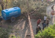 हल्द्वानी में आंधी का कहर: स्कूल की दीवार गिरी, आठ लोग मलबे में दबे; कई जगह पेड़ और बिजली लाइनें टूटीं