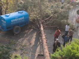 हल्द्वानी में आंधी का कहर: स्कूल की दीवार गिरी, आठ लोग मलबे में दबे; कई जगह पेड़ और बिजली लाइनें टूटीं