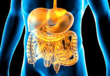 Rishikesh AIIMS: युवाओं में तेजी से बढ़ रहा बड़ी आंत का कैंसर, बदलती जीवनशैली और फास्टफूड बड़ा कारण