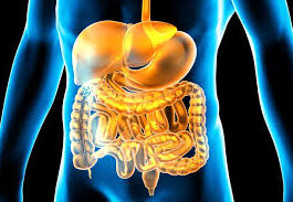 Rishikesh AIIMS: युवाओं में तेजी से बढ़ रहा बड़ी आंत का कैंसर, बदलती जीवनशैली और फास्टफूड बड़ा कारण