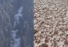 सात साल बाद मार्च में चकराता की ऊंची चोटियों पर बर्फबारी, सीजन की तीसरी बर्फ से बढ़ी ठंड