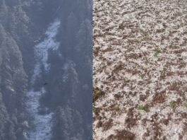 सात साल बाद मार्च में चकराता की ऊंची चोटियों पर बर्फबारी, सीजन की तीसरी बर्फ से बढ़ी ठंड