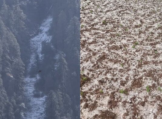 सात साल बाद मार्च में चकराता की ऊंची चोटियों पर बर्फबारी, सीजन की तीसरी बर्फ से बढ़ी ठंड