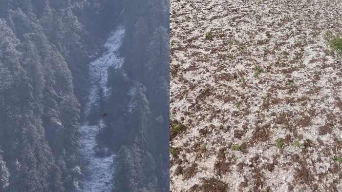 snowfall-in-chakrata_ebb8823739df12ecbcc17632304d0d66-ezgif.com-avif-to-jpg-converter