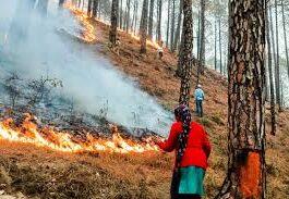उत्तराखंड में दोहरी मार: जंगल की आग और अतिवृष्टि से बढ़ा संकट, 30 हजार हेक्टेयर से अधिक वन संपदा प्रभावित