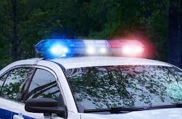 हरिद्वार: राजाजी टाइगर रिजर्व में साधु की निर्मम हत्या का खुलासा, लालच में पत्थरों से कुचलकर मार डाला, दो आरोपी गिरफ्तार