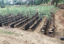 उत्तराखंड की 92 नर्सरियों के पुनर्जीवन की तैयारी, यूरोपीय सब्जियों की खेती को मिलेगा बढ़ावा