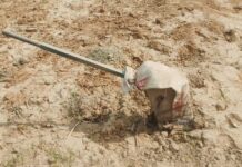 हरिद्वार: हैंडपंप के लिए कुआं खोदते समय बड़ा हादसा, मलबे में दबा बुजुर्ग; राहत-बचाव जारी