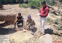 रामनगर में 12 बीघा बगीचे में अवैध कटान: 60 आम-लीची के पेड़ काटे, बगीचा स्वामी समेत दो के खिलाफ FIR के निर्देश