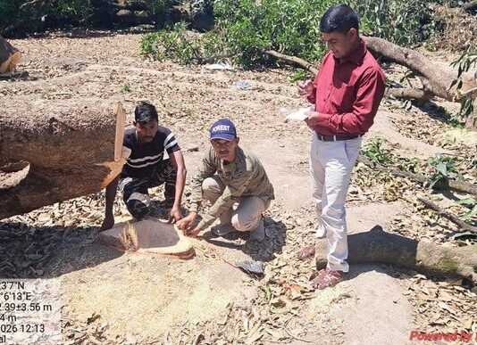 रामनगर में 12 बीघा बगीचे में अवैध कटान: 60 आम-लीची के पेड़ काटे, बगीचा स्वामी समेत दो के खिलाफ FIR के निर्देश