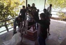 Rishikesh: गंगा किनारे आरती स्थल पर दिखा सात फीट लंबा कॉपरहेड सांप, मची दहशत; वन विभाग ने किया रेस्क्यू