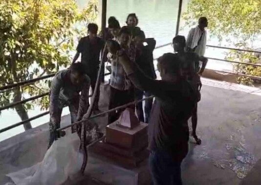 Rishikesh: गंगा किनारे आरती स्थल पर दिखा सात फीट लंबा कॉपरहेड सांप, मची दहशत; वन विभाग ने किया रेस्क्यू